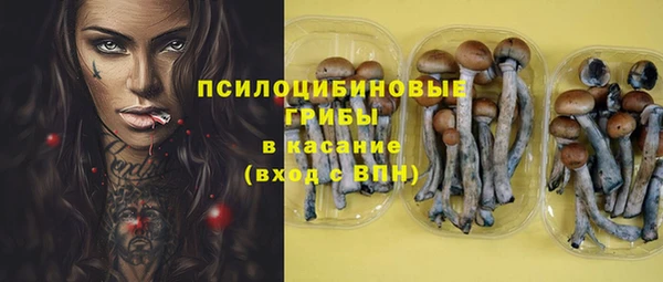 прущая мука Армянск