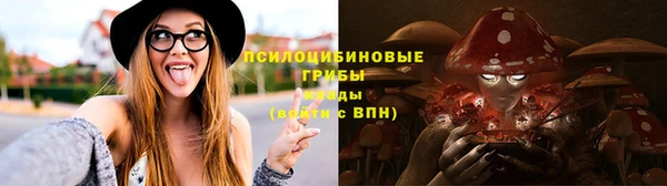 трава Аркадак